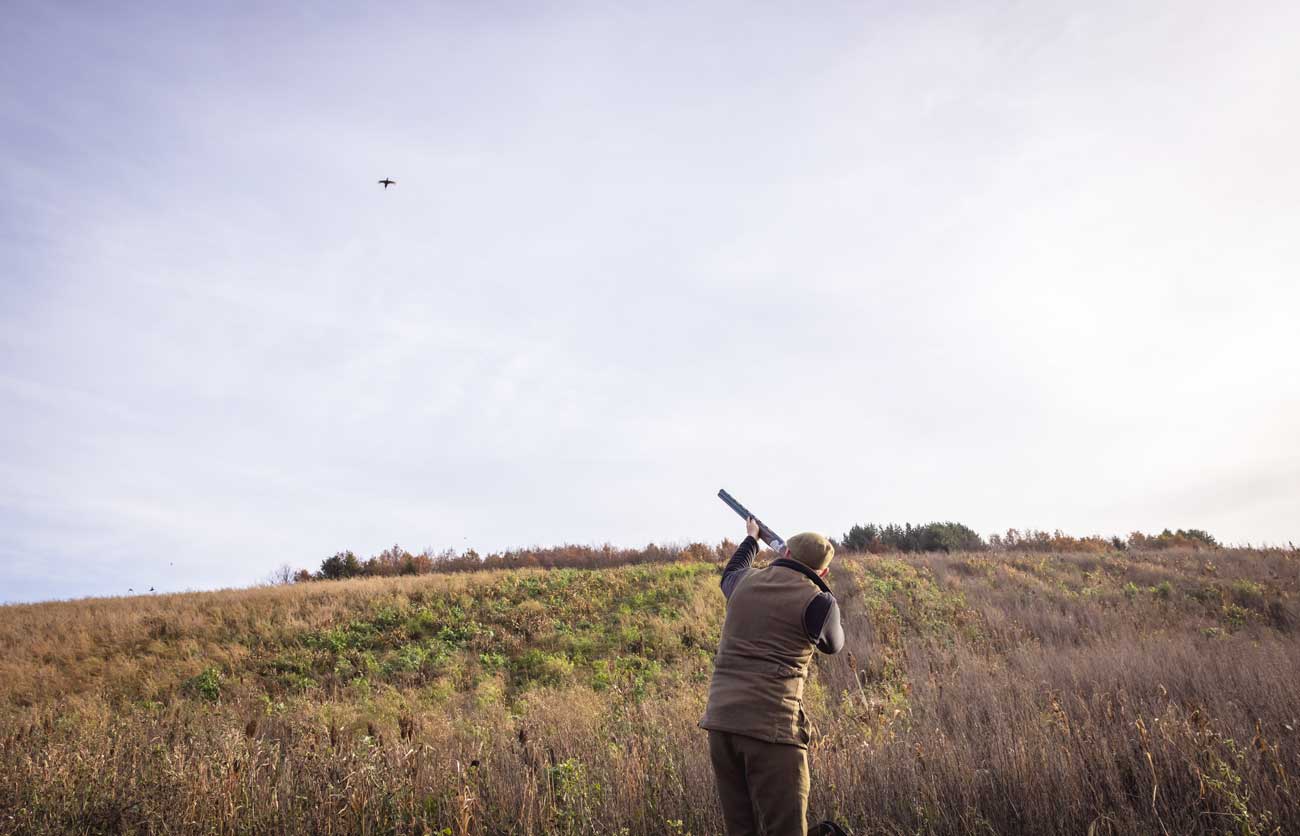 driven shooting in the UK vacations