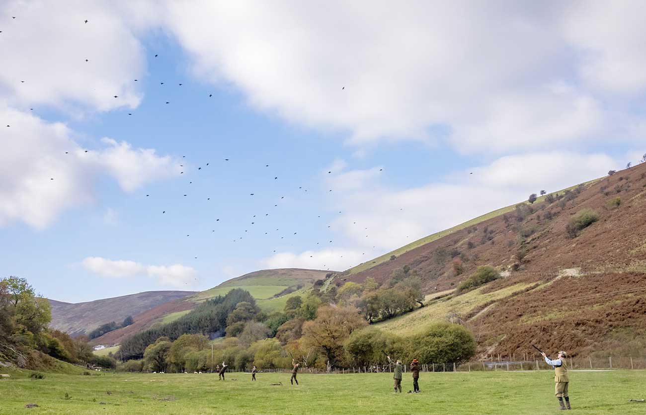 book shooting in the uk