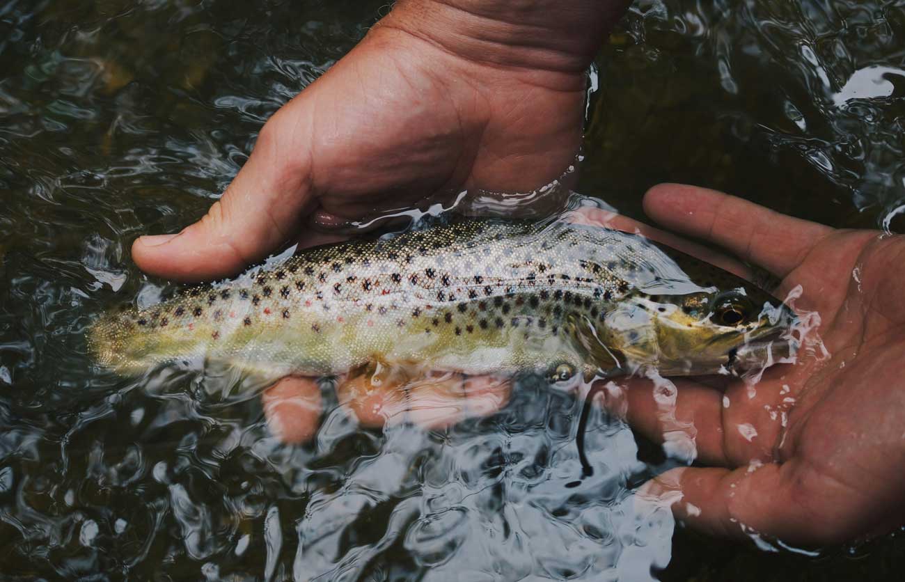 fishing tours in the UK vacation